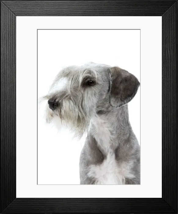 Framed Print : Picture No. 10892718 Framed Print : Picture No. 10892718