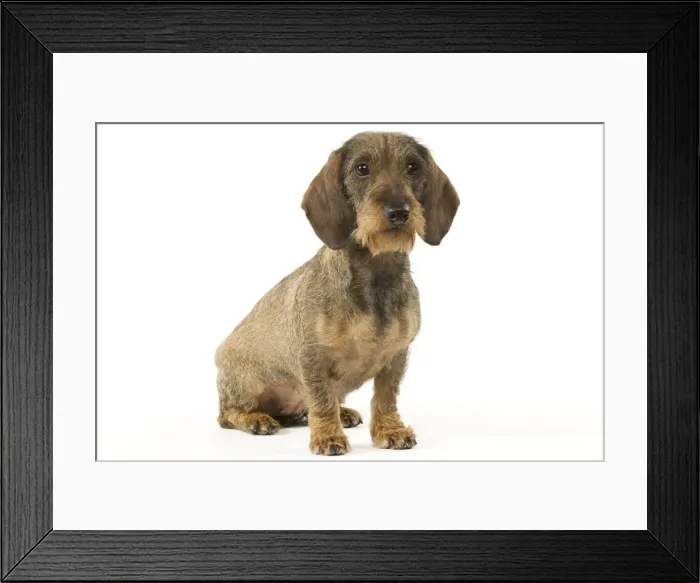 Framed Print : Picture No. 10892731 Framed Print : Picture No. 10892731