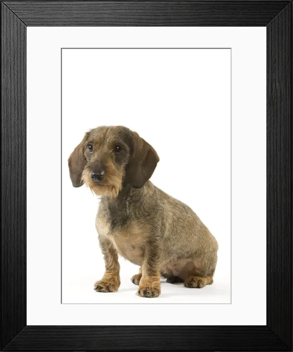 Framed Print : Picture No. 10892730 Framed Print : Picture No. 10892730