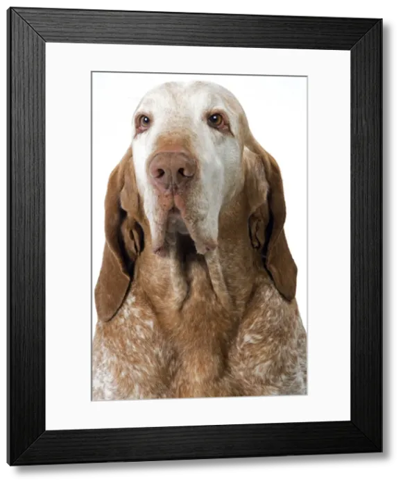 Framed Print : Picture No. 10892733 Framed Print : Picture No. 10892733