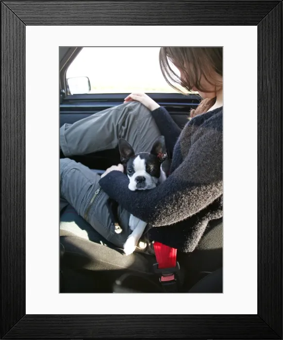 Framed Print : Picture No. 10892736 Framed Print : Picture No. 10892736