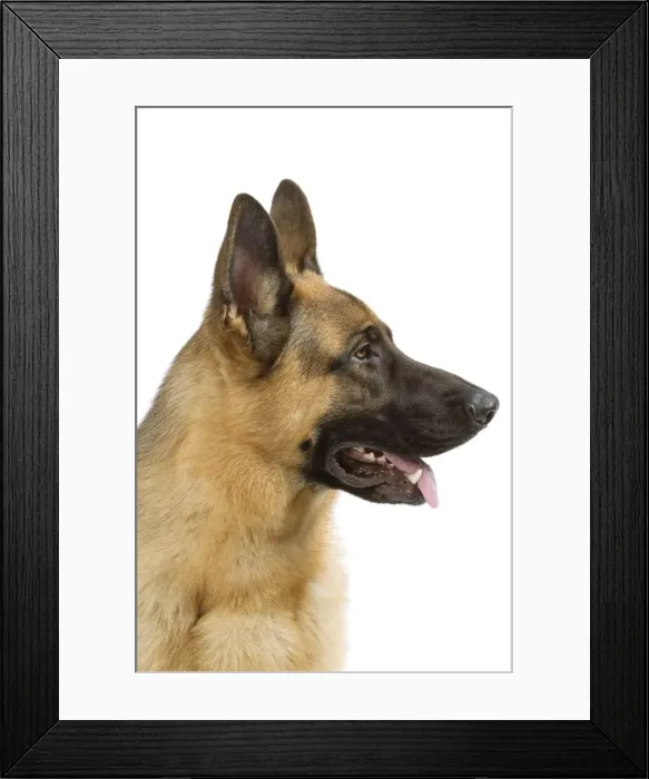 Framed Print : Picture No. 10892744 Framed Print : Picture No. 10892744