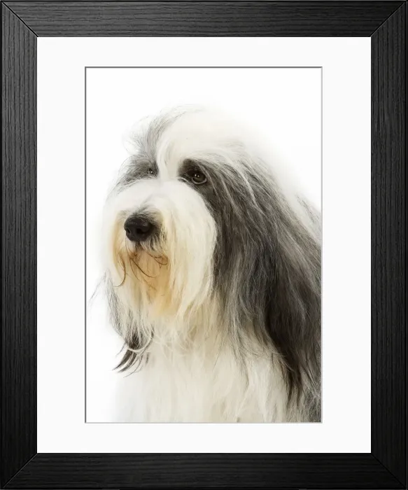 Framed Print : Picture No. 10892747 Framed Print : Picture No. 10892747