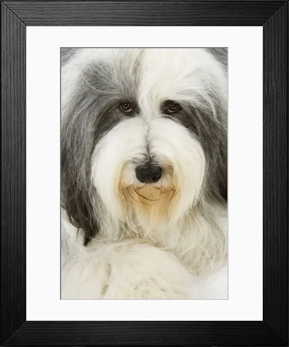 Framed Print : Picture No. 10892748 Framed Print : Picture No. 10892748