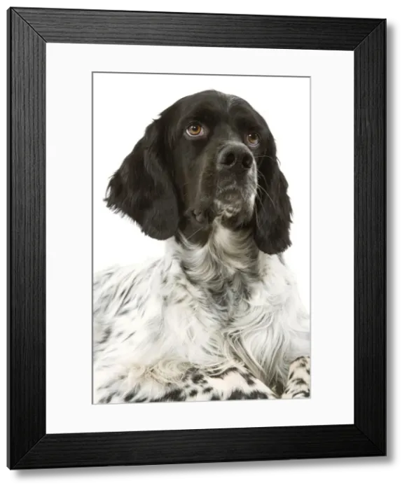 Framed Print : Picture No. 10892753 Framed Print : Picture No. 10892753