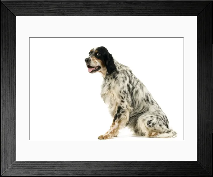 Framed Print : Picture No. 10892751 Framed Print : Picture No. 10892751