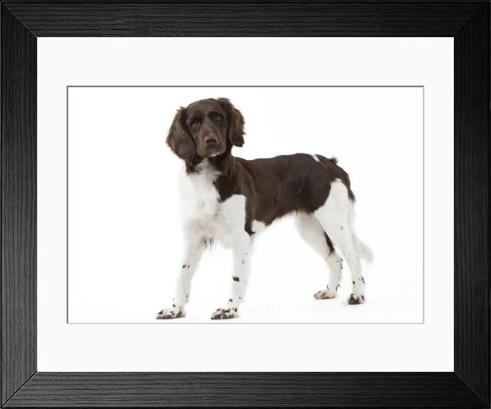 Framed Print : Picture No. 10892762 Framed Print : Picture No. 10892762