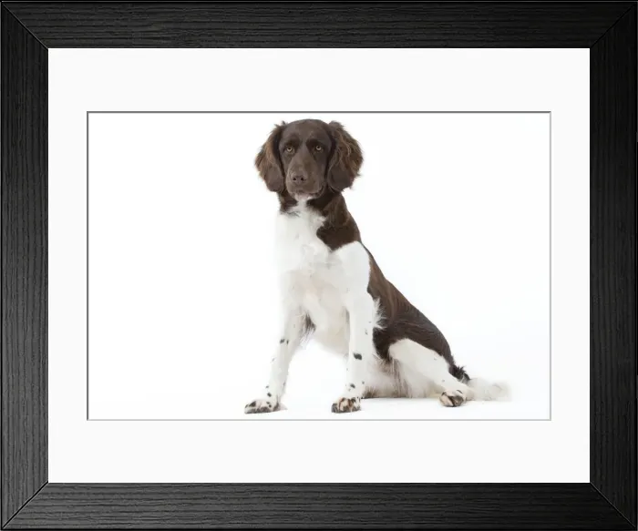 Framed Print : Picture No. 10892763 Framed Print : Picture No. 10892763