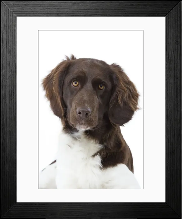 Framed Print : Picture No. 10892764 Framed Print : Picture No. 10892764