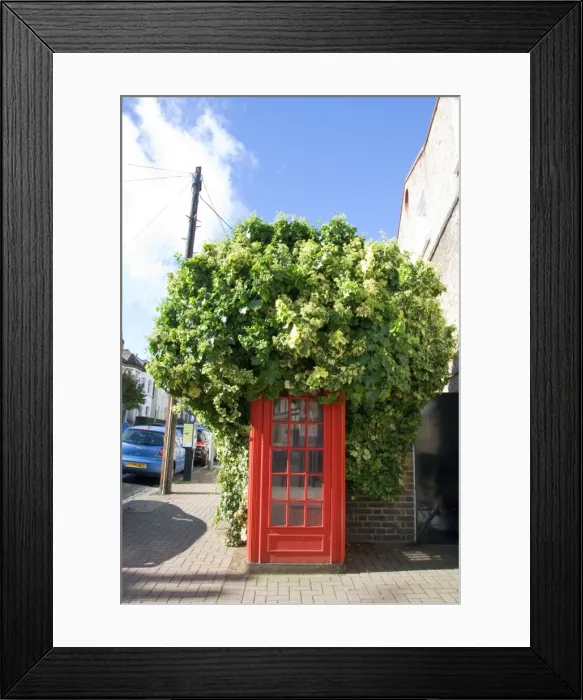 Framed Print : Picture No. 10892864 Framed Print : Picture No. 10892864