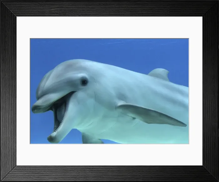Framed Print : Picture No. 10892870 Framed Print : Picture No. 10892870