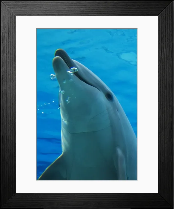 Framed Print : Picture No. 10892874 Framed Print : Picture No. 10892874