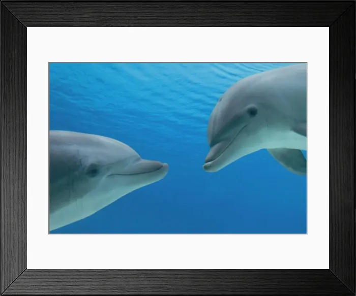 Framed Print : Picture No. 10892867 Framed Print : Picture No. 10892867