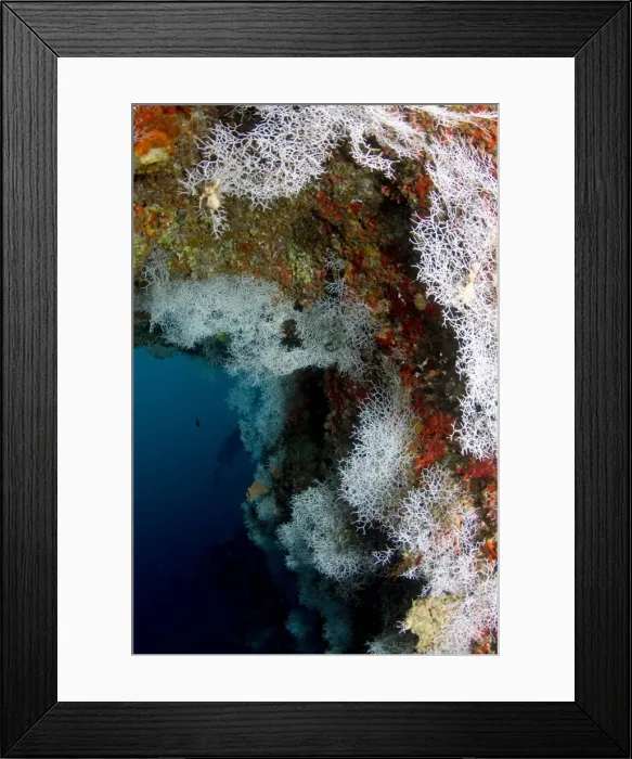 Framed Print : Picture No. 10892927 Framed Print : Picture No. 10892927
