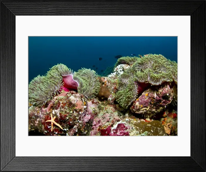 Framed Print : Picture No. 10892932 Framed Print : Picture No. 10892932