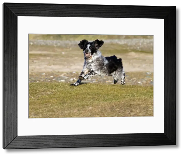 Framed Print : Picture No. 10893013 Framed Print : Picture No. 10893013