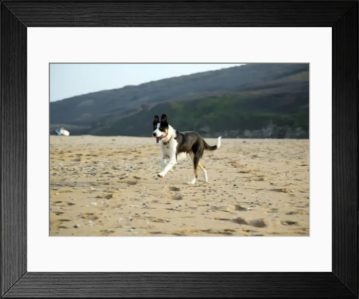 Framed Print : Picture No. 10893015 Framed Print : Picture No. 10893015