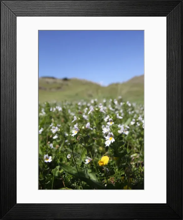 Framed Print : Picture No. 10893030 Framed Print : Picture No. 10893030