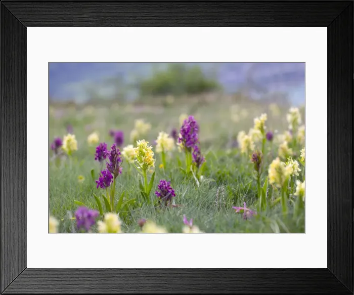Framed Print : Picture No. 10893028 Framed Print : Picture No. 10893028