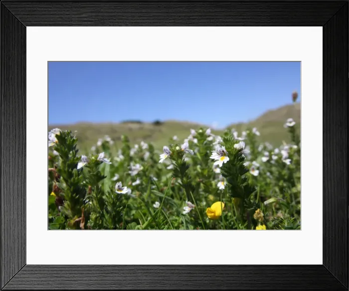 Framed Print : Picture No. 10893031 Framed Print : Picture No. 10893031