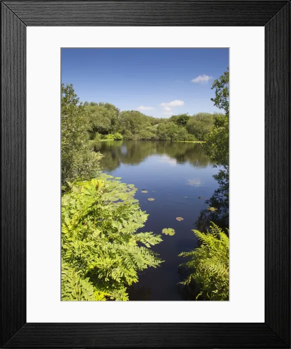 Framed Print : Picture No. 10893044 Framed Print : Picture No. 10893044