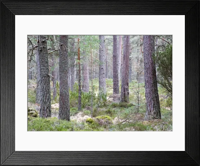 Framed Print : Picture No. 10893083 Framed Print : Picture No. 10893083