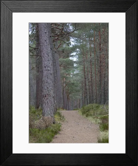 Framed Print : Picture No. 10893084 Framed Print : Picture No. 10893084