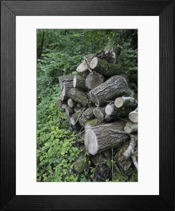 Framed Print : Picture No. 10893085 Framed Print : Picture No. 10893085