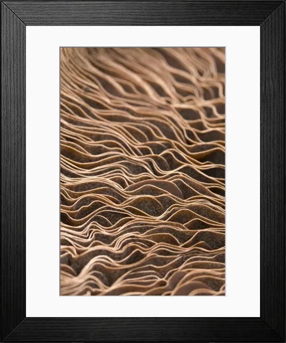 Framed Print : Picture No. 10893095 Framed Print : Picture No. 10893095