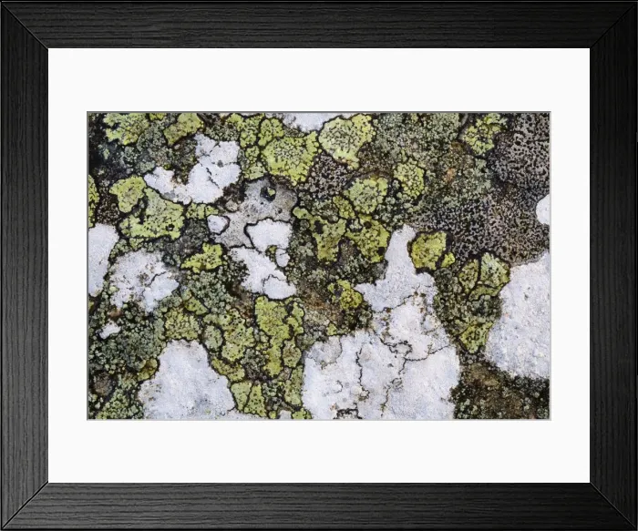 Framed Print : Picture No. 10893087 Framed Print : Picture No. 10893087