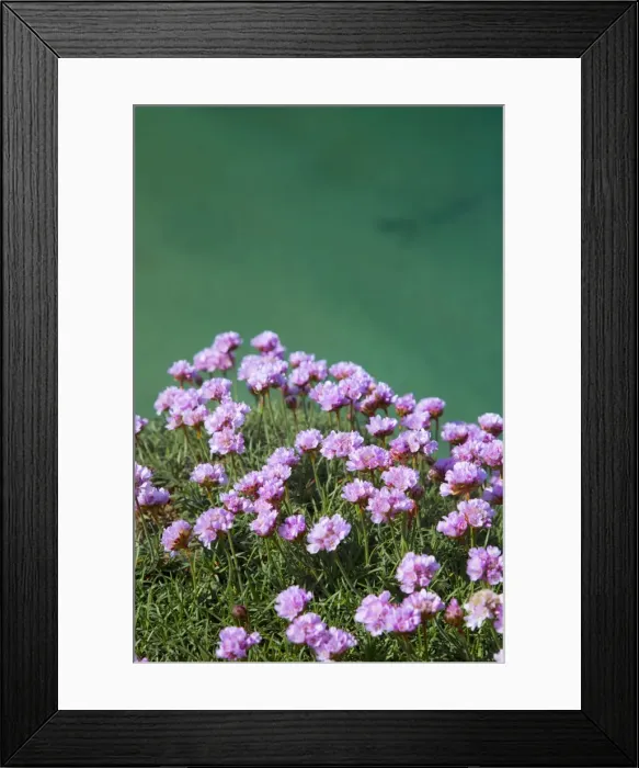 Framed Print : Picture No. 10893132 Framed Print : Picture No. 10893132