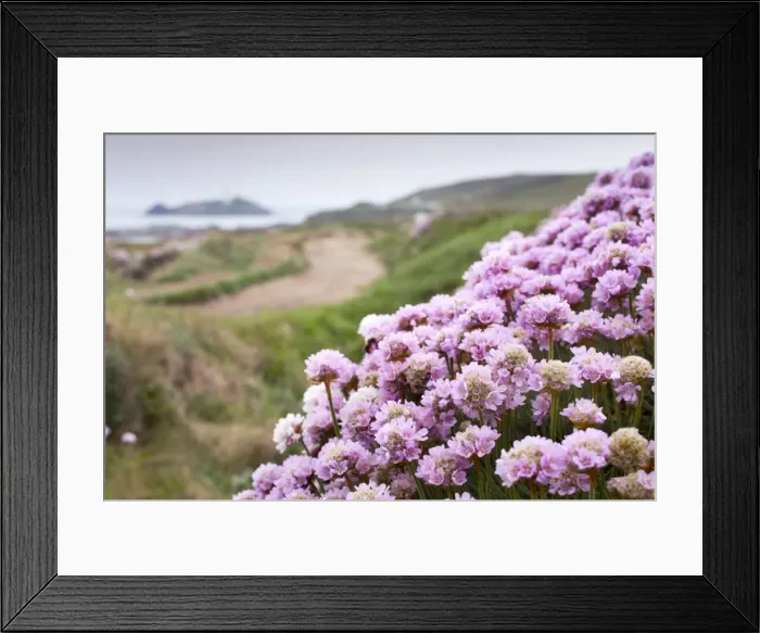 Framed Print : Picture No. 10893134 Framed Print : Picture No. 10893134