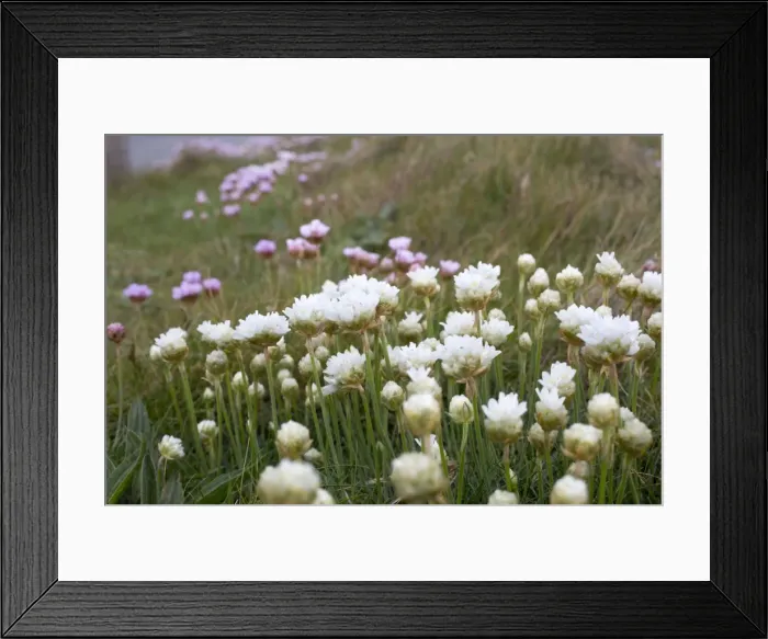 Framed Print : Picture No. 10893131 Framed Print : Picture No. 10893131