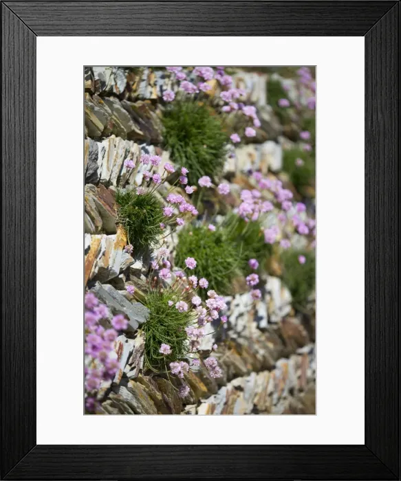 Framed Print : Picture No. 10893133 Framed Print : Picture No. 10893133