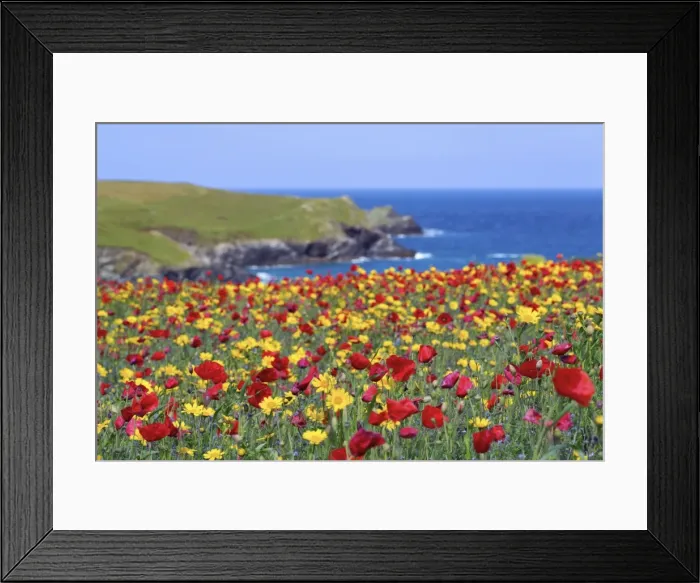 Framed Print : Picture No. 10893140 Framed Print : Picture No. 10893140