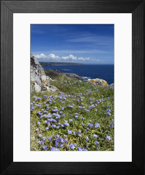 Framed Print : Picture No. 10893137 Framed Print : Picture No. 10893137
