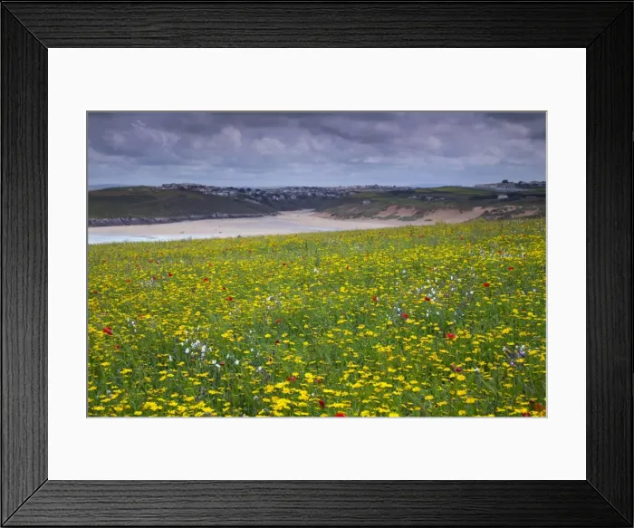 Framed Print : Picture No. 10893145 Framed Print : Picture No. 10893145