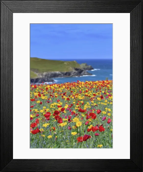 Framed Print : Picture No. 10893141 Framed Print : Picture No. 10893141