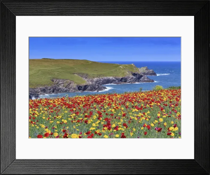 Framed Print : Picture No. 10893146 Framed Print : Picture No. 10893146