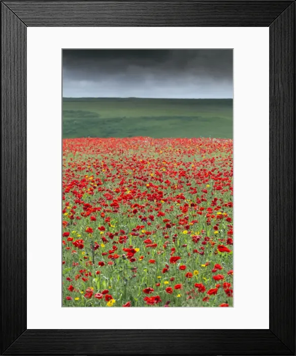 Framed Print : Picture No. 10893152 Framed Print : Picture No. 10893152