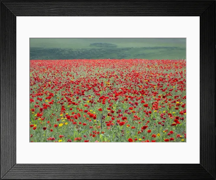 Framed Print : Picture No. 10893151 Framed Print : Picture No. 10893151