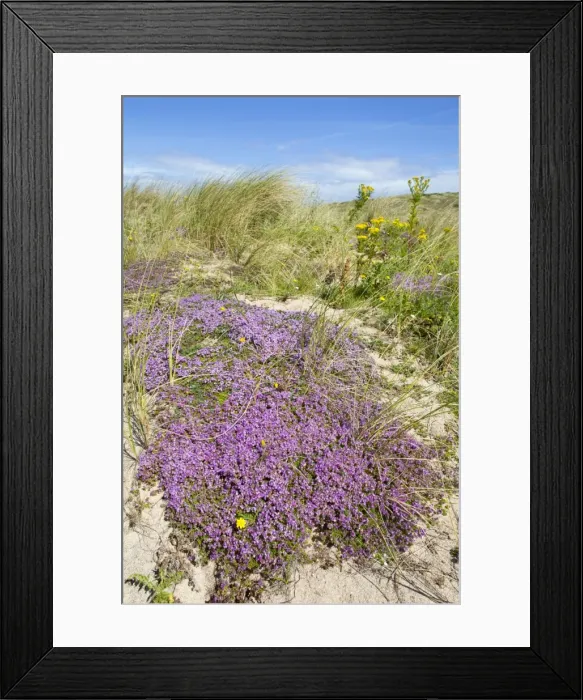 Framed Print : Picture No. 10893157 Framed Print : Picture No. 10893157