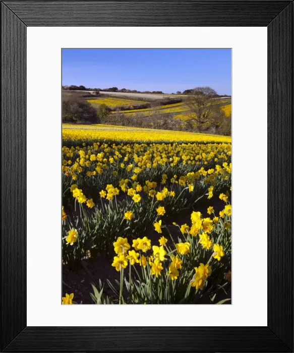 Framed Print : Picture No. 10893163 Framed Print : Picture No. 10893163