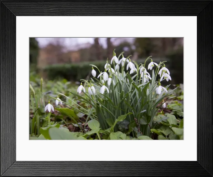 Framed Print : Picture No. 10893169 Framed Print : Picture No. 10893169