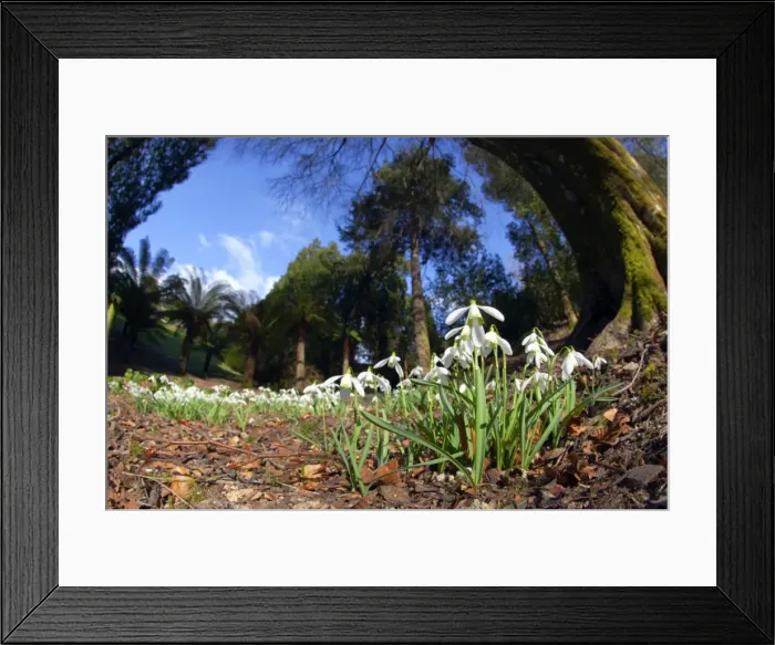 Framed Print : Picture No. 10893172 Framed Print : Picture No. 10893172