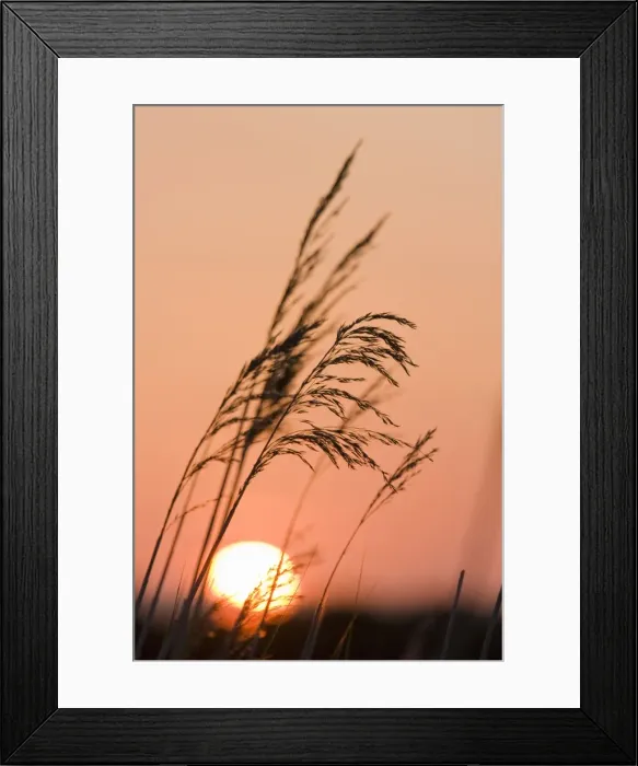 Framed Print : Picture No. 10893193 Framed Print : Picture No. 10893193