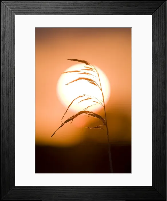 Framed Print : Picture No. 10893192 Framed Print : Picture No. 10893192