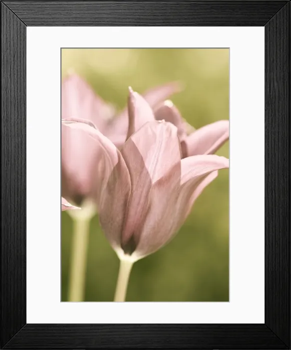 Framed Print : Picture No. 10893203 Framed Print : Picture No. 10893203