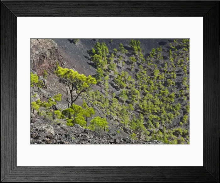 Framed Print : Picture No. 10893188 Framed Print : Picture No. 10893188