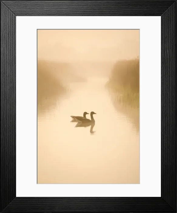 Framed Print : Picture No. 10893206 Framed Print : Picture No. 10893206